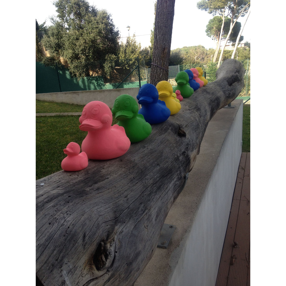 oli-&-carol-extra-large-monochrome-ducks-teether- (58)