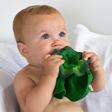 oli-&-carol-kendall-the-kale-mini-doudou-teether-olic-l-mindou-kale- (7)