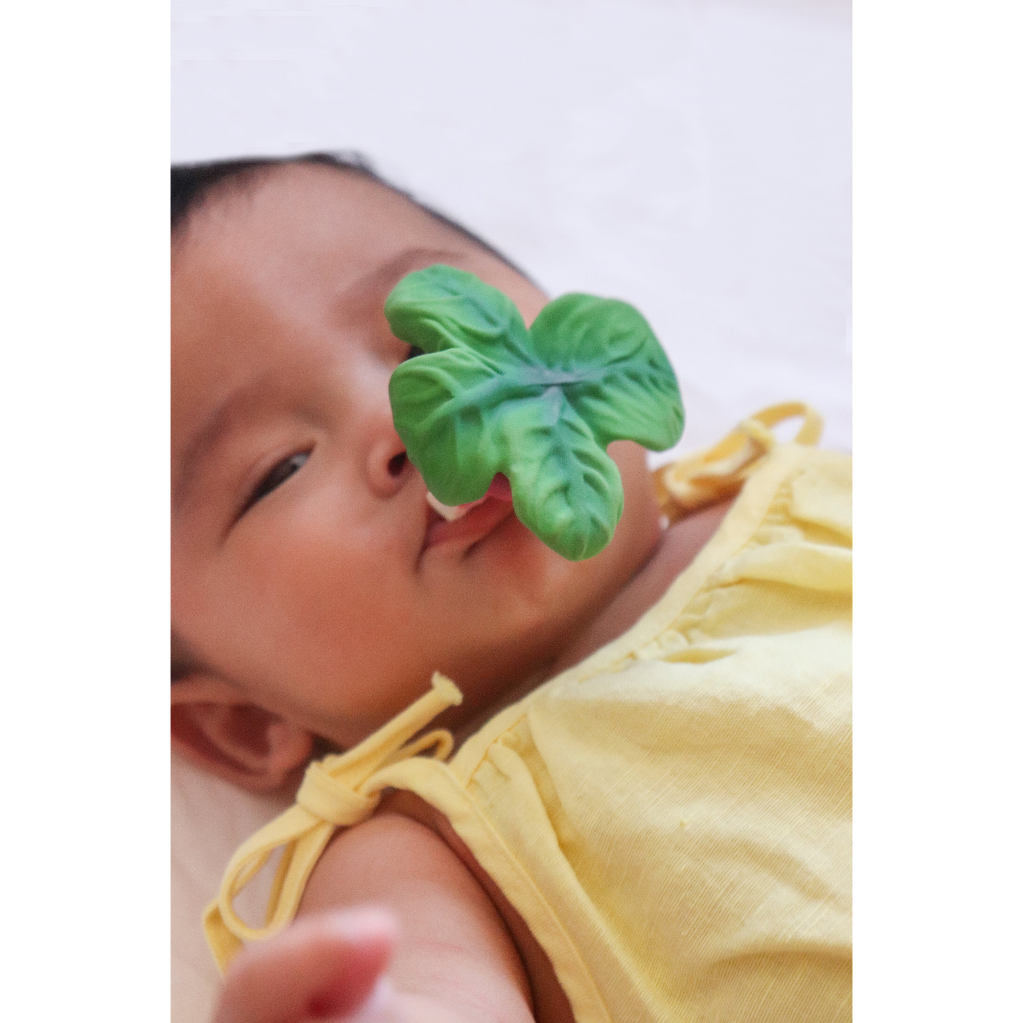 oli-&-carol-ramonita-the-radish-teether-olic-l-chewy-radish- (7)