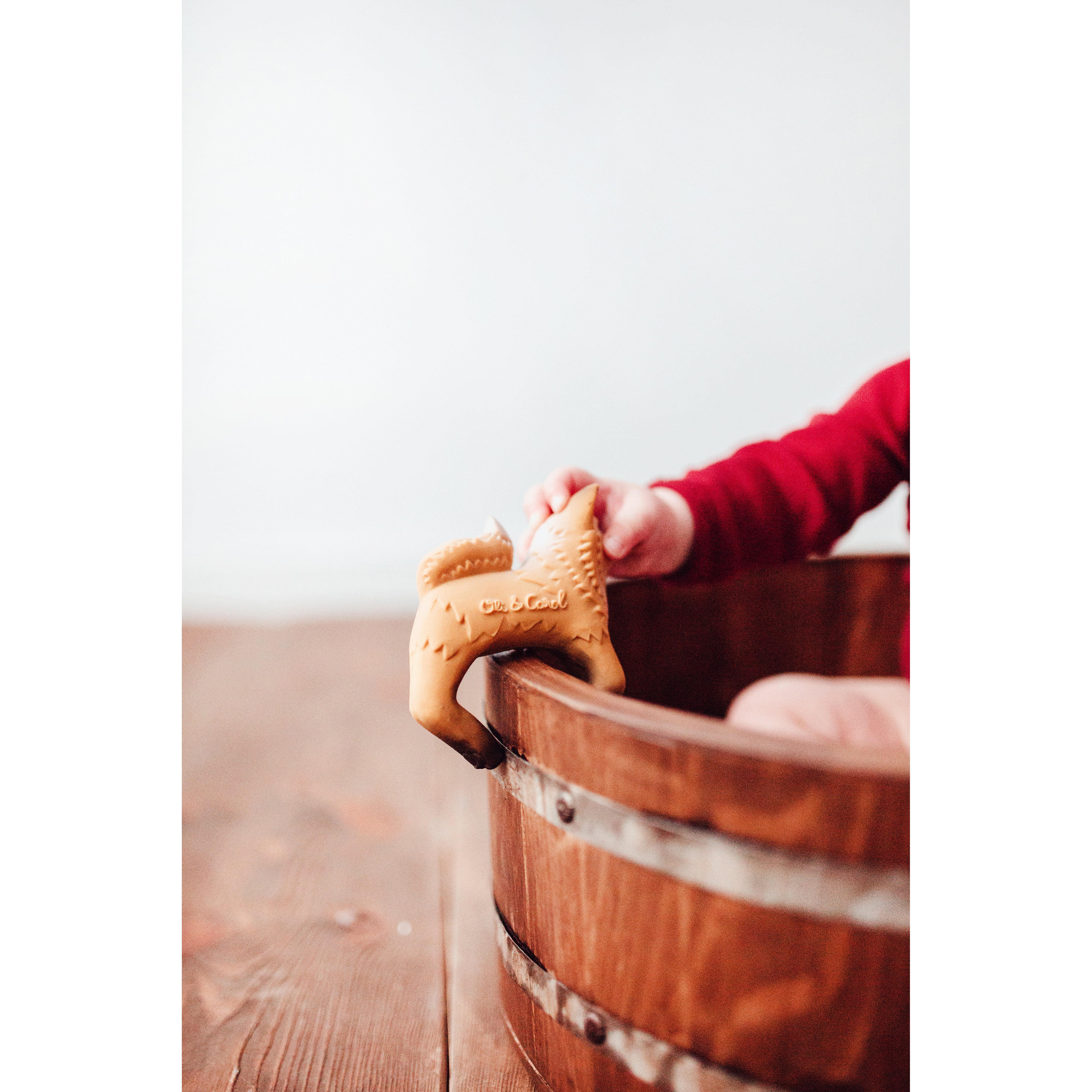 oli-&-carol-rob-the-fox-teether- (14)