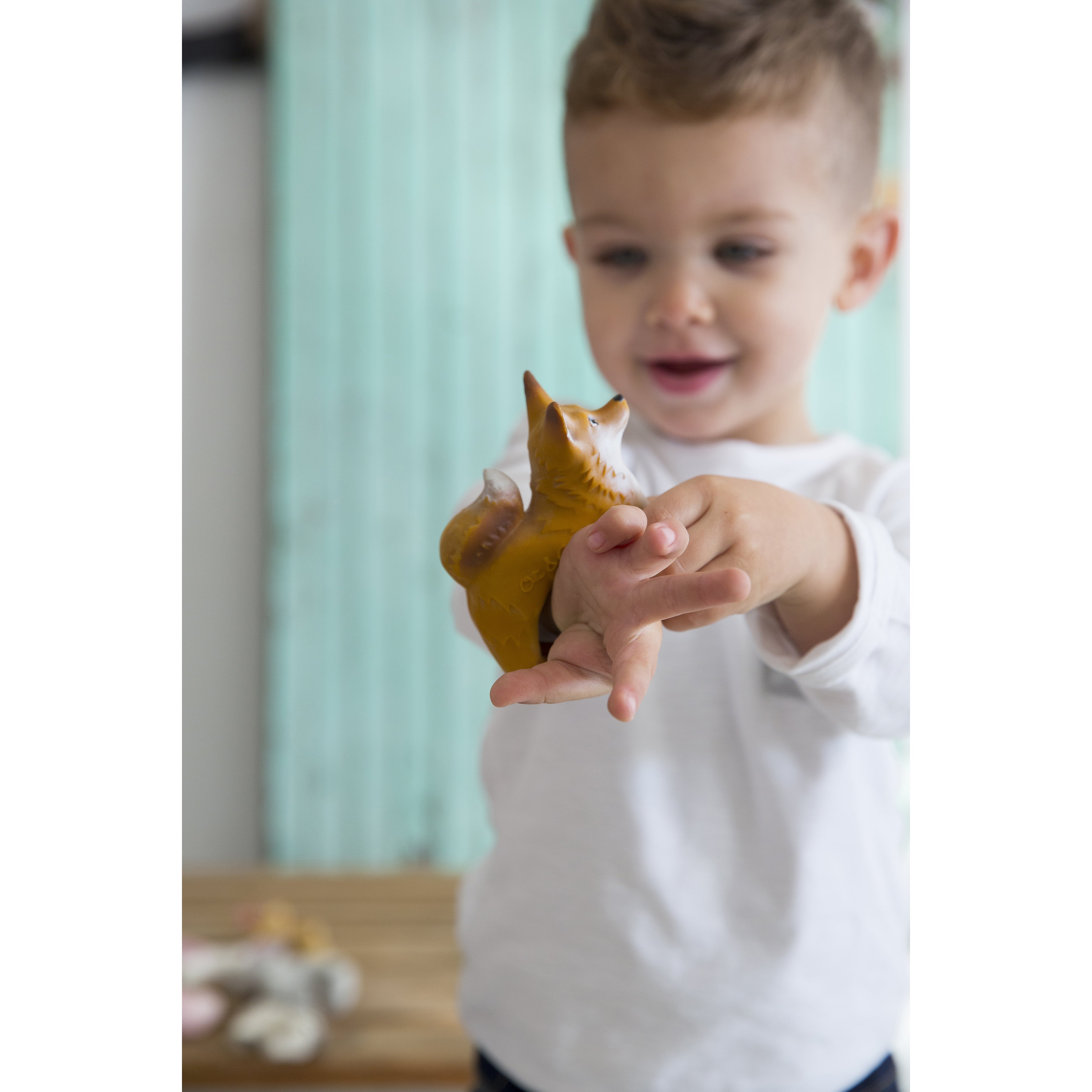 oli-&-carol-rob-the-fox-teether- (28)