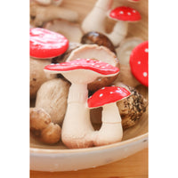 oli-&-carol-spot-the-mushroom-teether-olic-l-spot-mushroom- (4)