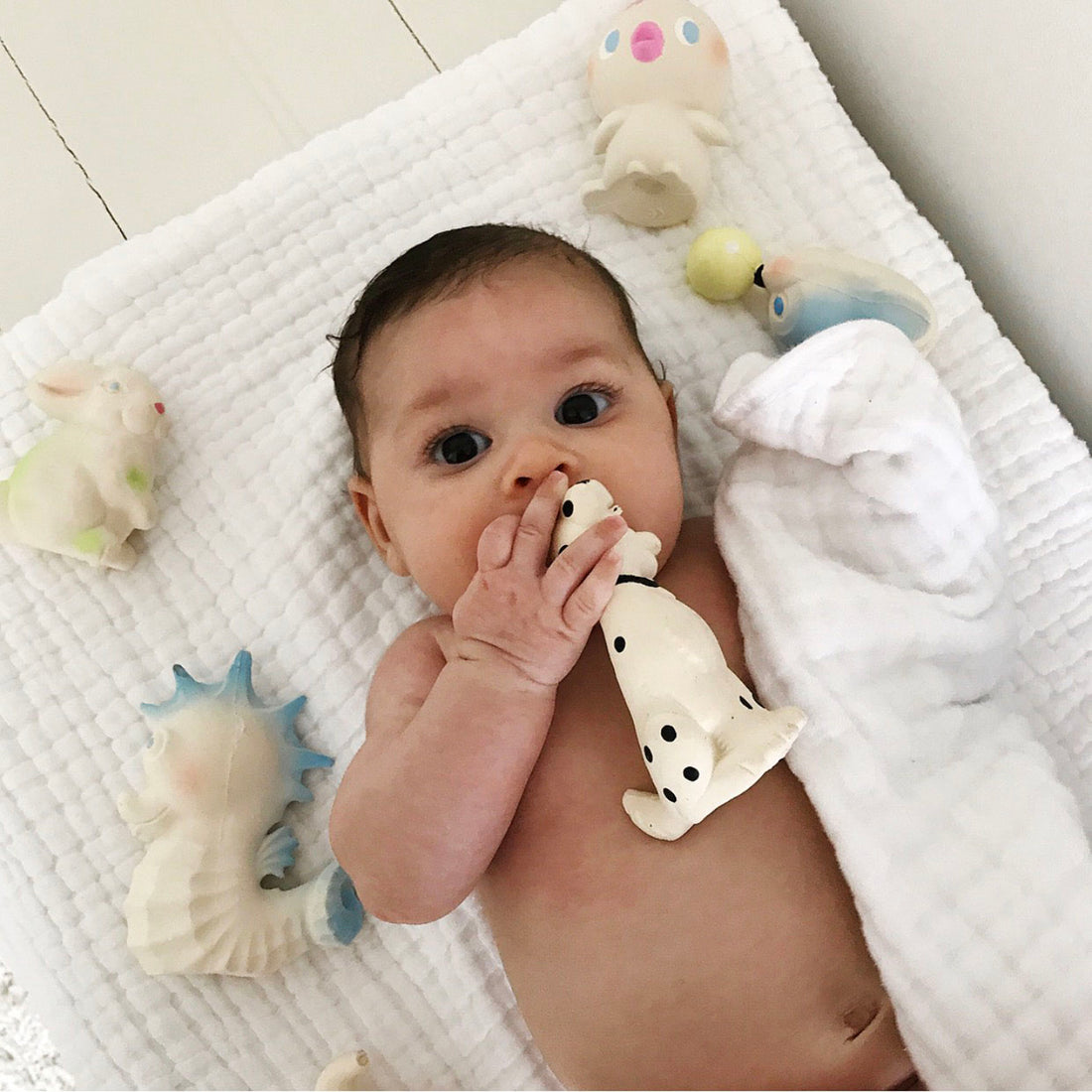 oli-&-carol-vintage-bubbles-the-sea-horse-teether- (9)