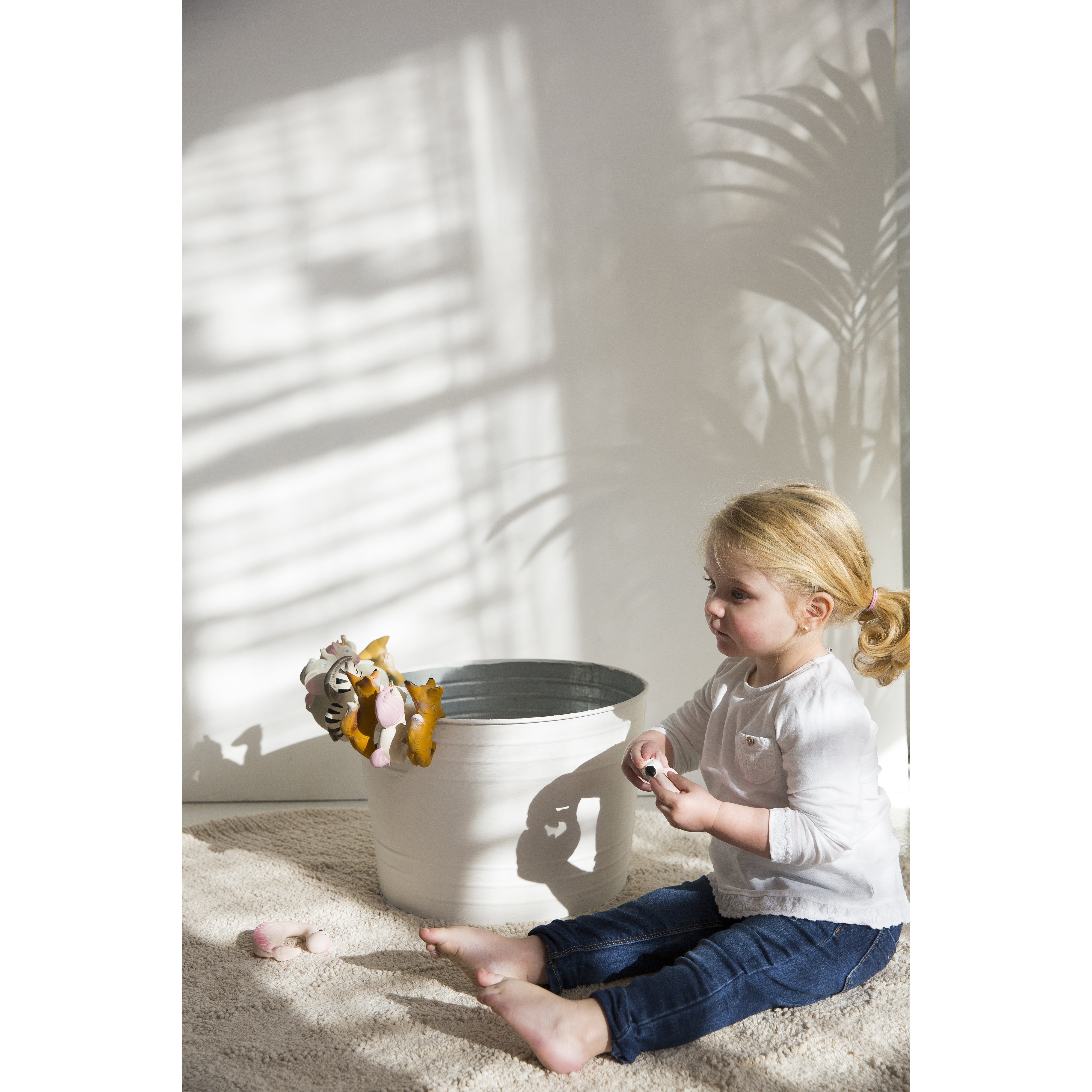 oli-&-carol-zoe-the-zebra- (11)