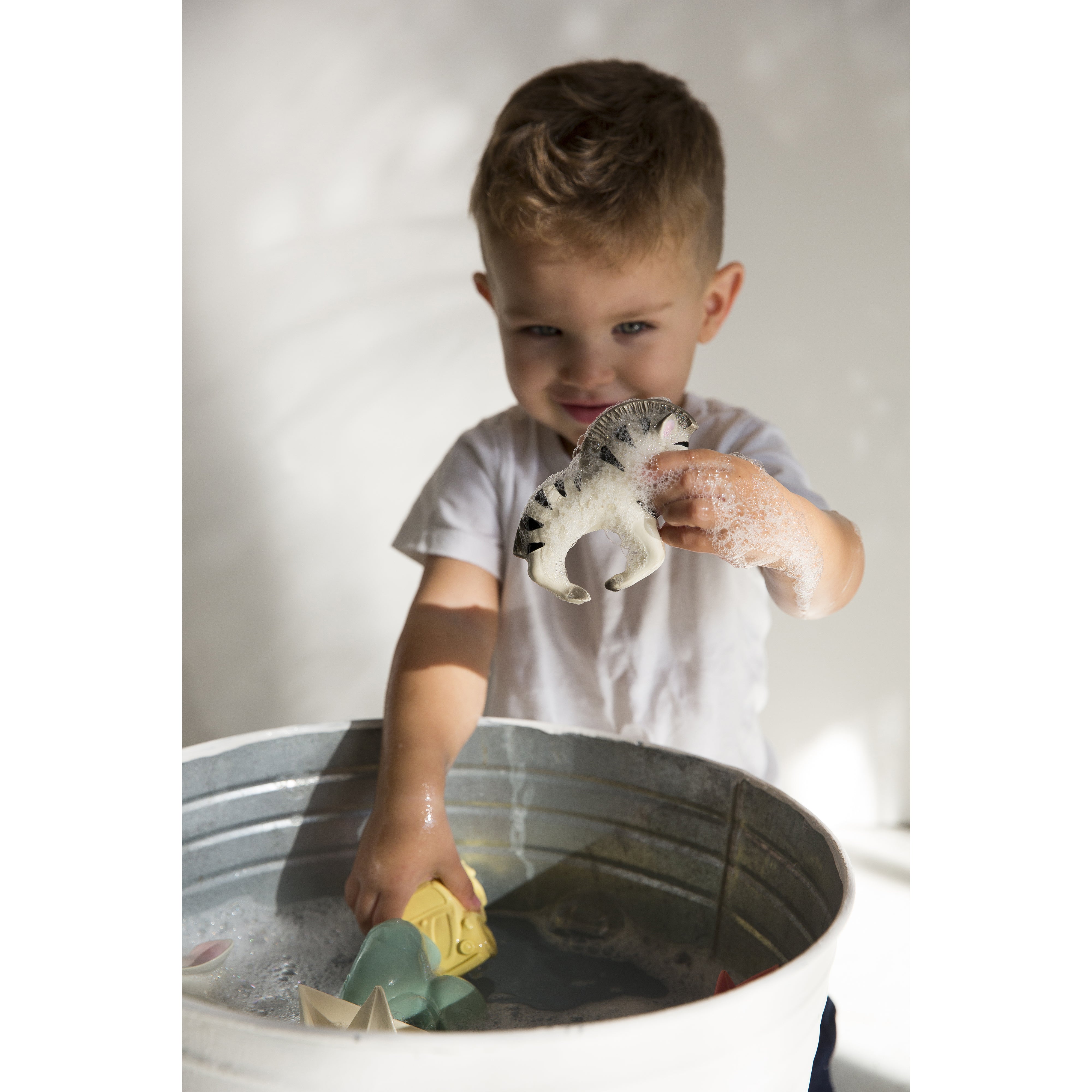 oli-&-carol-zoe-the-zebra- (12)