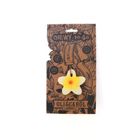 Oli & Carol Chewy-to-Go Hawaii the Flower Teether