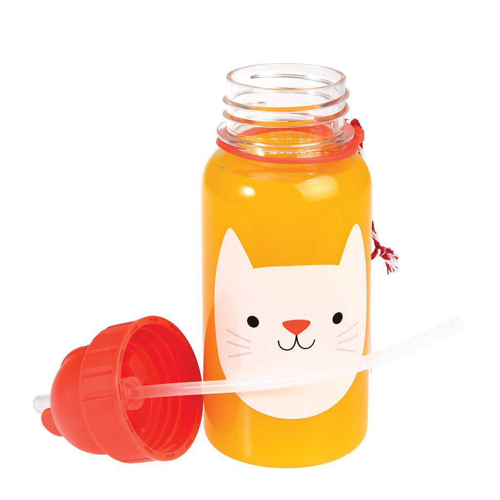 rex-cookie-the-cat-water-bottle- (3)