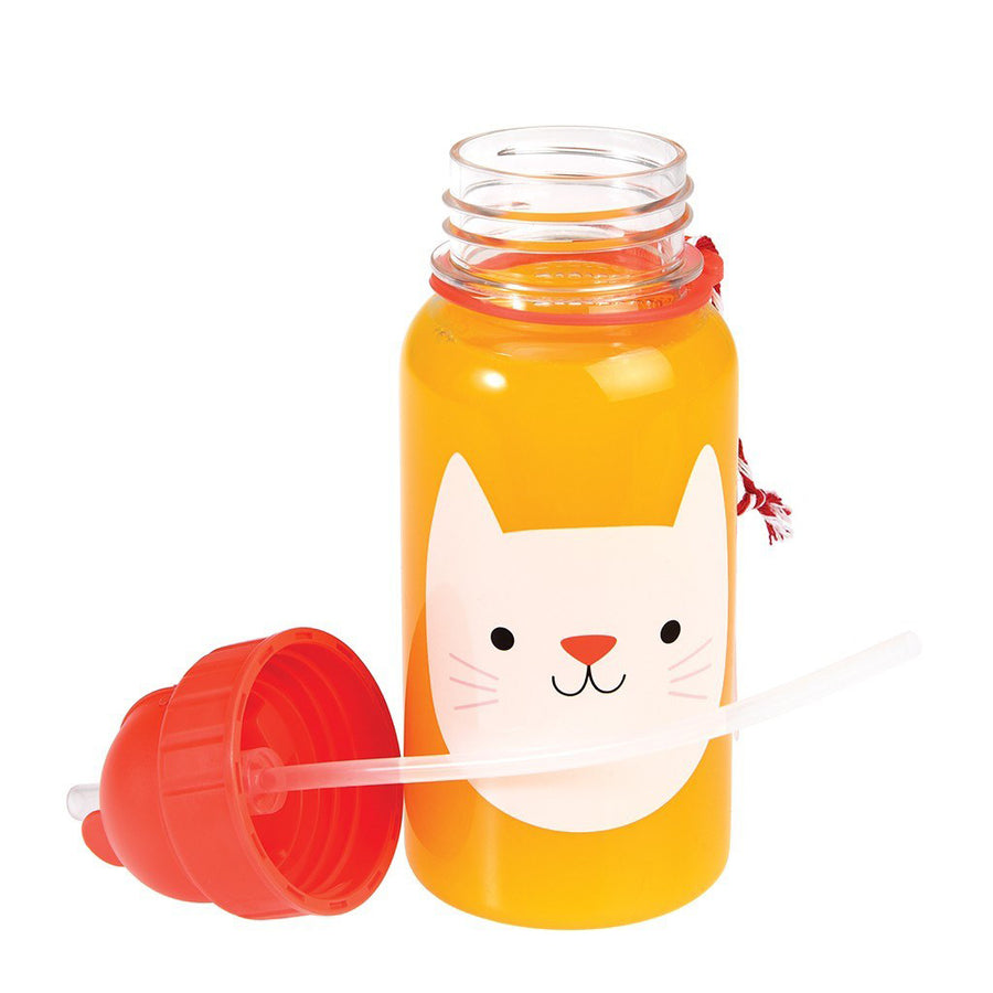 rex-cookie-the-cat-water-bottle- (3)