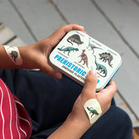 rex-prehistoric-land-plasters-in-a-tin-pack-of-30- (3)