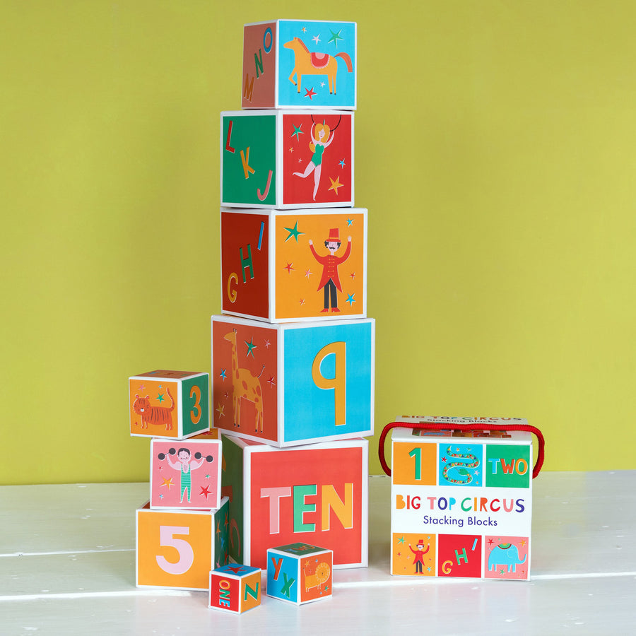 rex-set-of-10-big-top-circus-nesting-blocks- (5)
