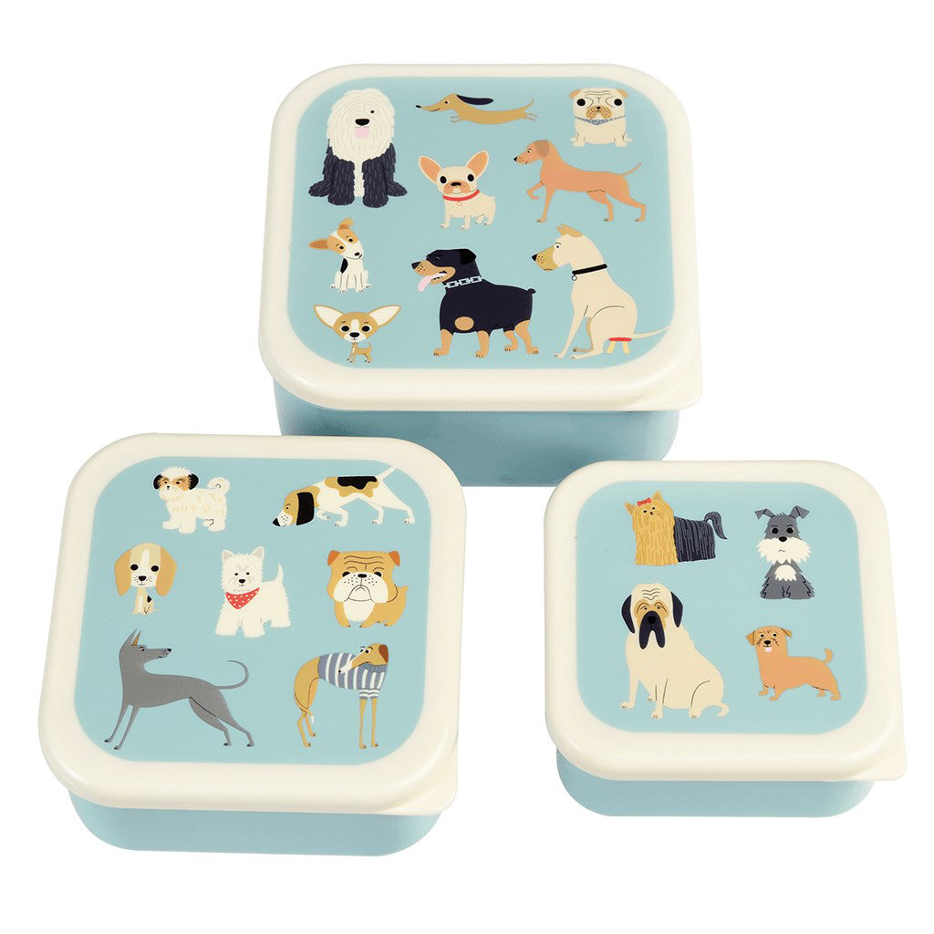 rex-set-of-3-best-in-show-snack-boxes- (1)