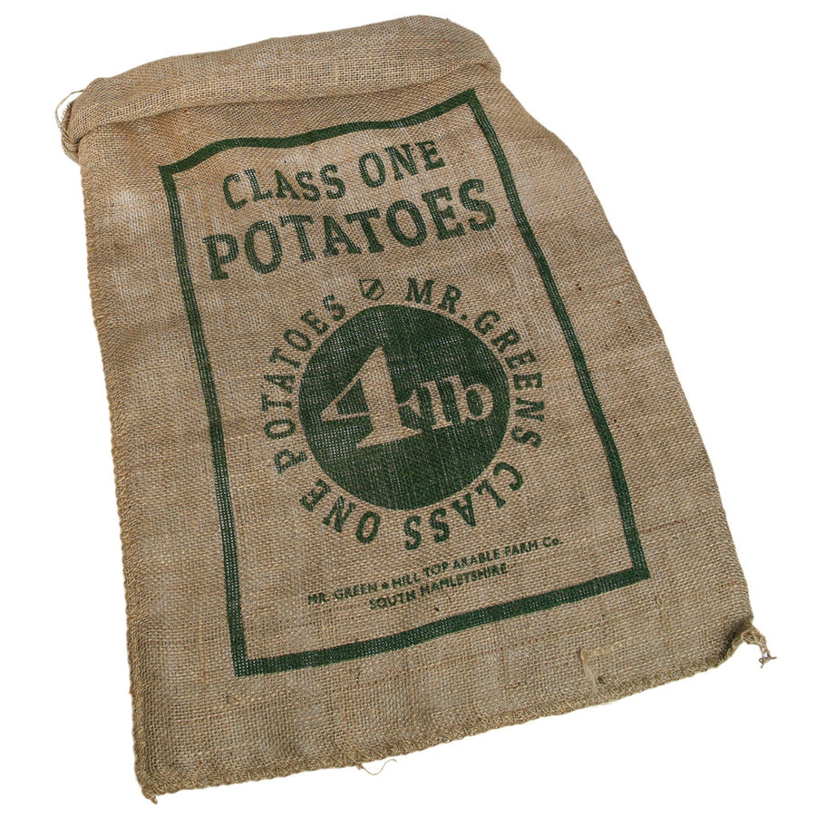 rex-sports-day-potato-sack-race-set-02