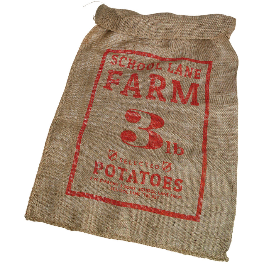 rex-sports-day-potato-sack-race-set-03