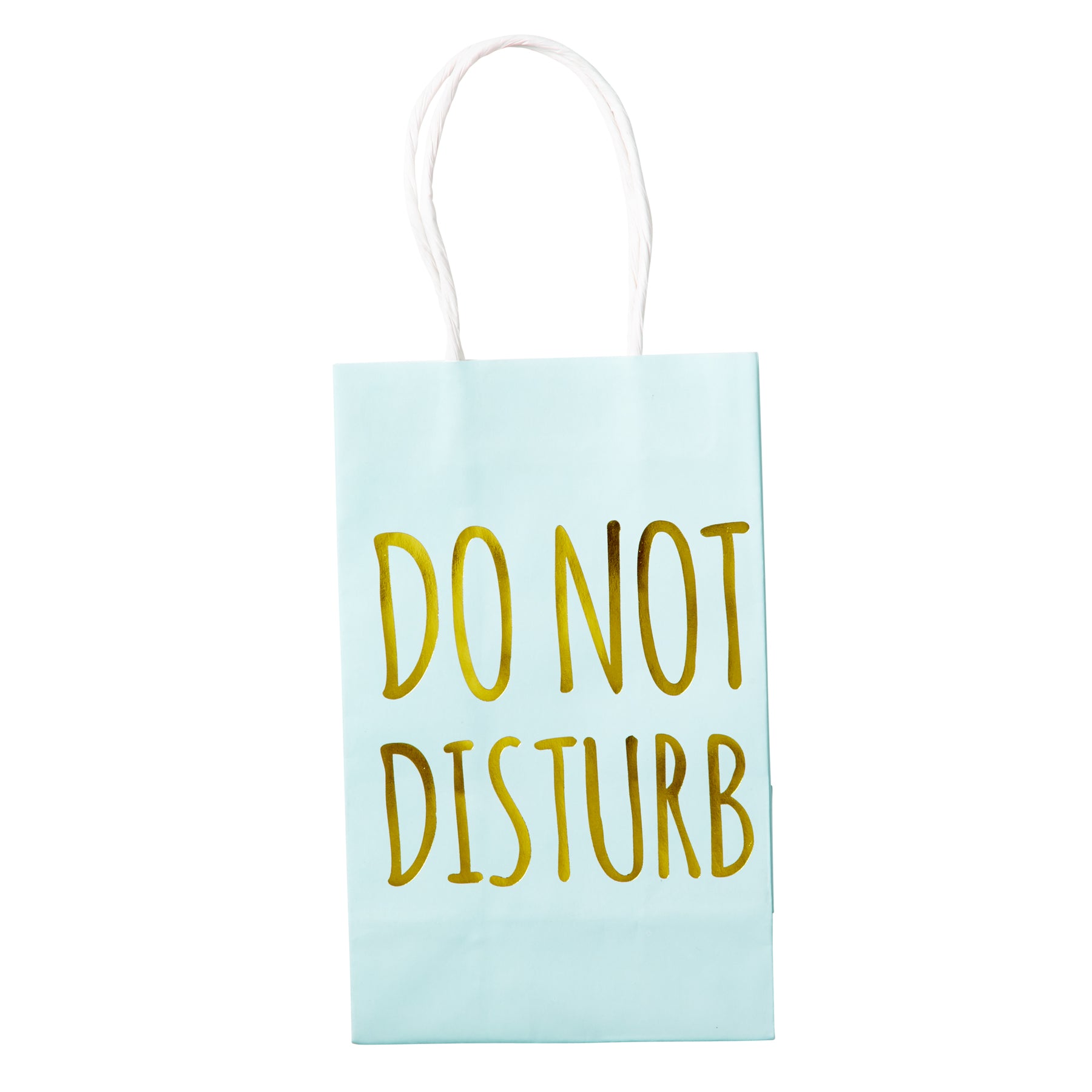 rice-dk-medium-giftbag-mint-rice-pagbg-mi-