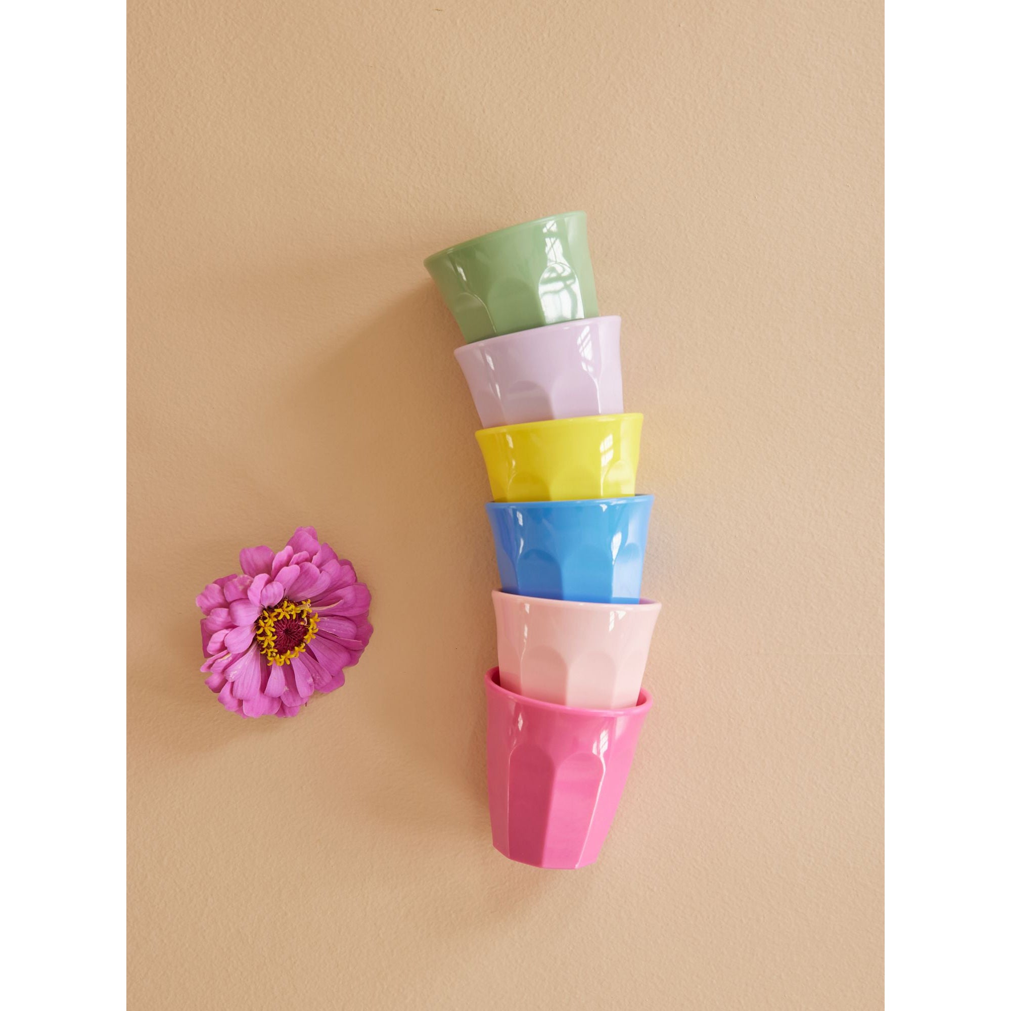 rice-dk-melamine-espresso-cups-in-assorted-colors-6-pcs-giftbox-rice-melcu-6zess23