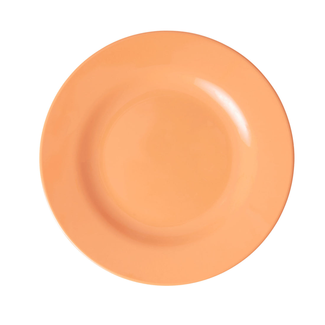 rice-dk-melamine-round-side-plates-in-assorted-follow-the-call-of-the-disco-ball-rice-mespl-6zaw21- (4)
