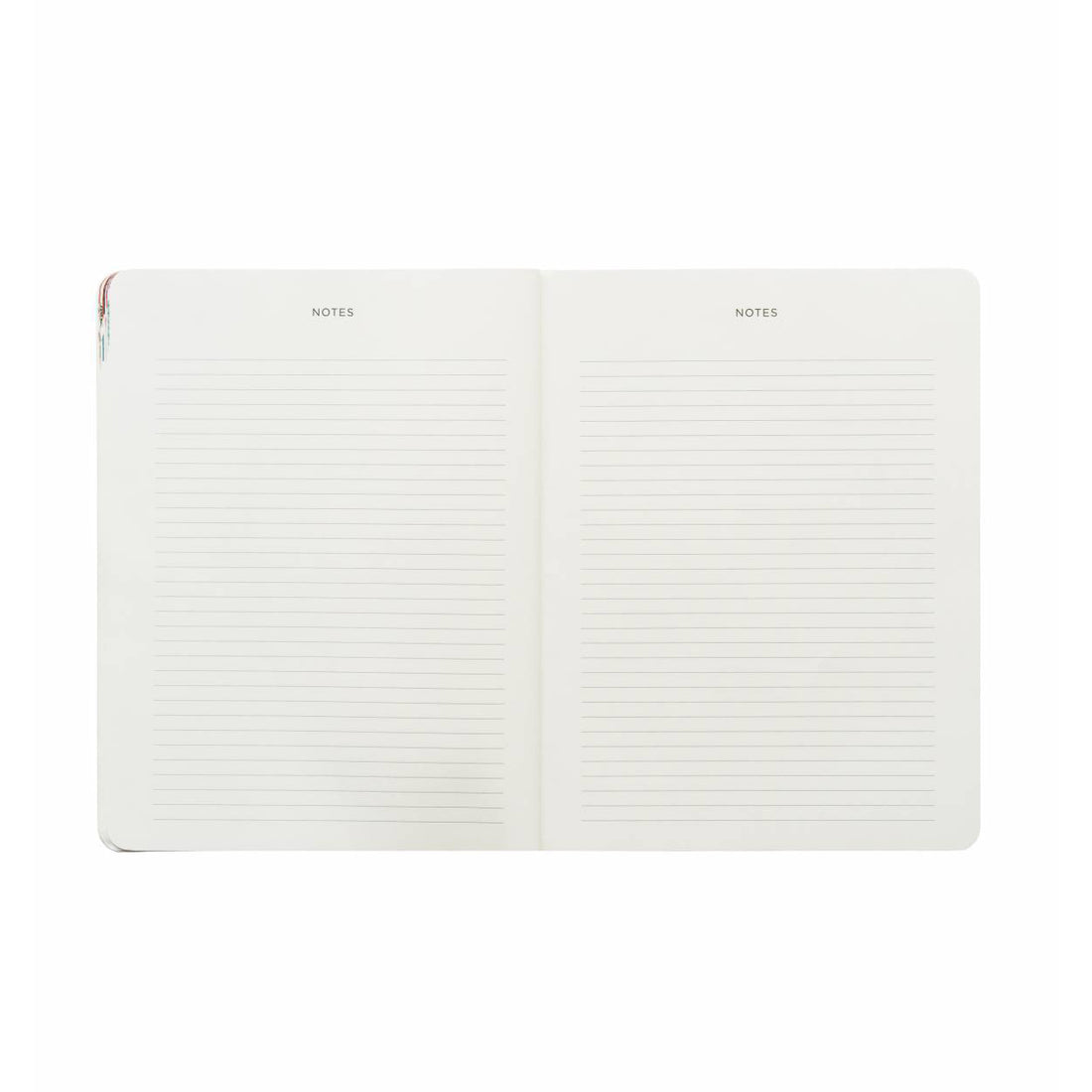 rifle-paper-co-2019-bouquet-appointment-agenda- (2)
