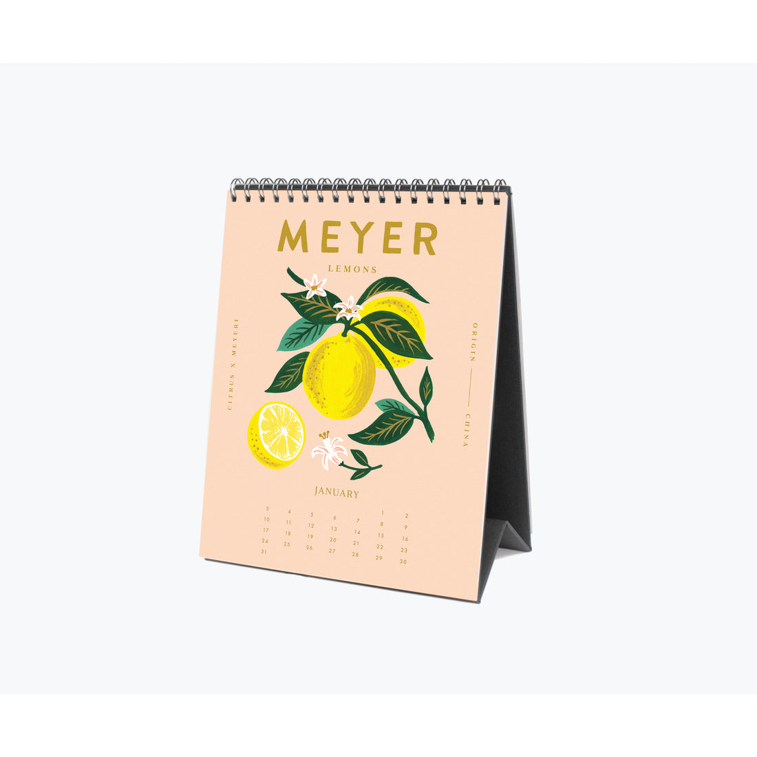 rifle-paper-co-2021-lemon-desk-calendar- (2)