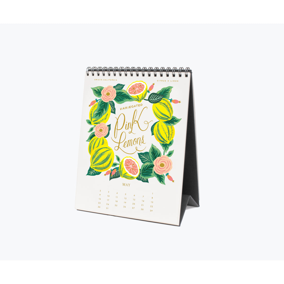 rifle-paper-co-2021-lemon-desk-calendar- (6)