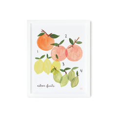 rifle-paper-co-citrus-illustrated-print-8x10- (1)