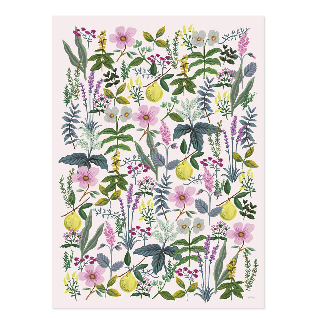 rifle-paper-co-roll-of-3-herb-garden-wrapping-sheets- (3)