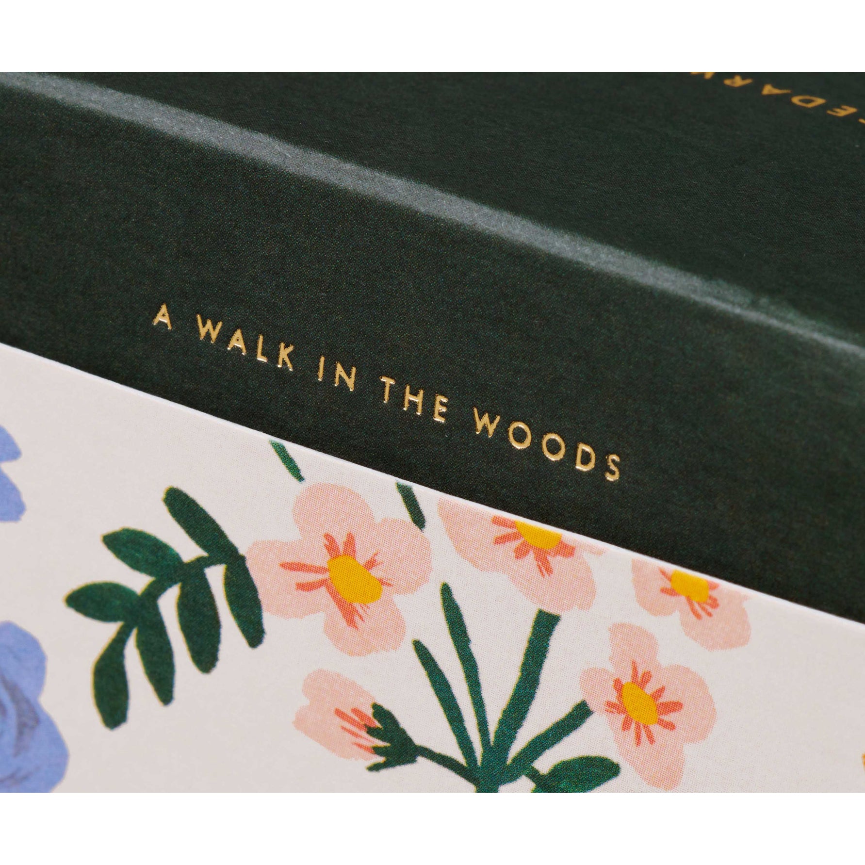 rifle-paper-co-the-high-peaks-of-the-adirondacks-fores-candle-glass- (4)