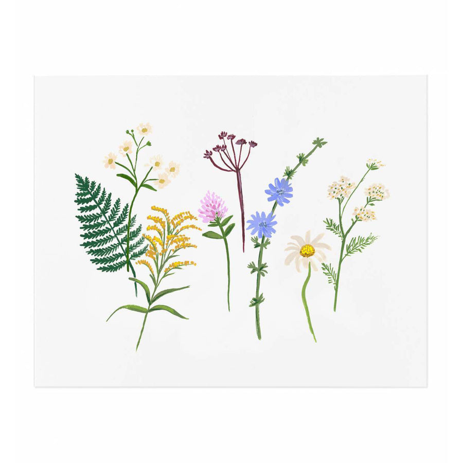 rifle-paper-co-wildflowers-art-print-01