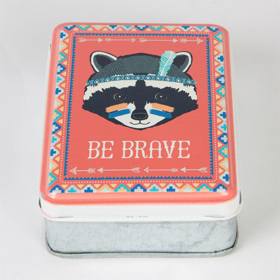 rjb-stone-be-brave-raccoon-animal-adventure-storage-tin- (3)
