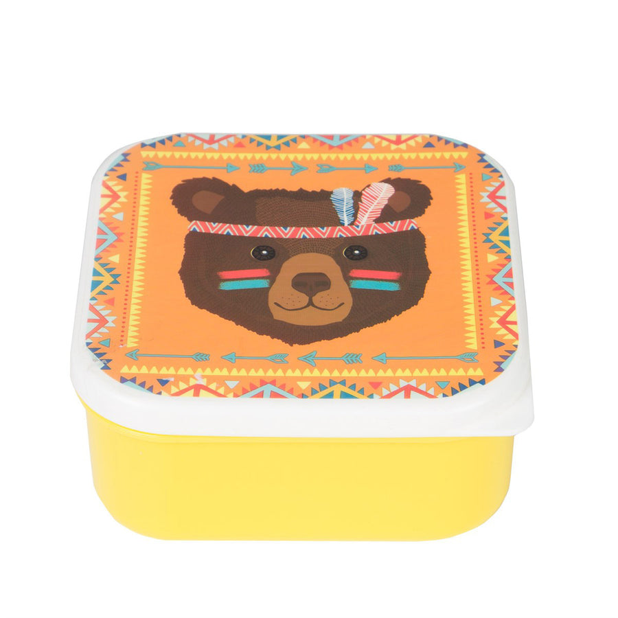 rjb-stone-bear-animal-adventure-square-lunch-box- (1)