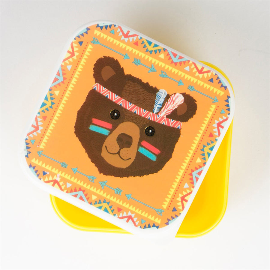 rjb-stone-bear-animal-adventure-square-lunch-box- (3)