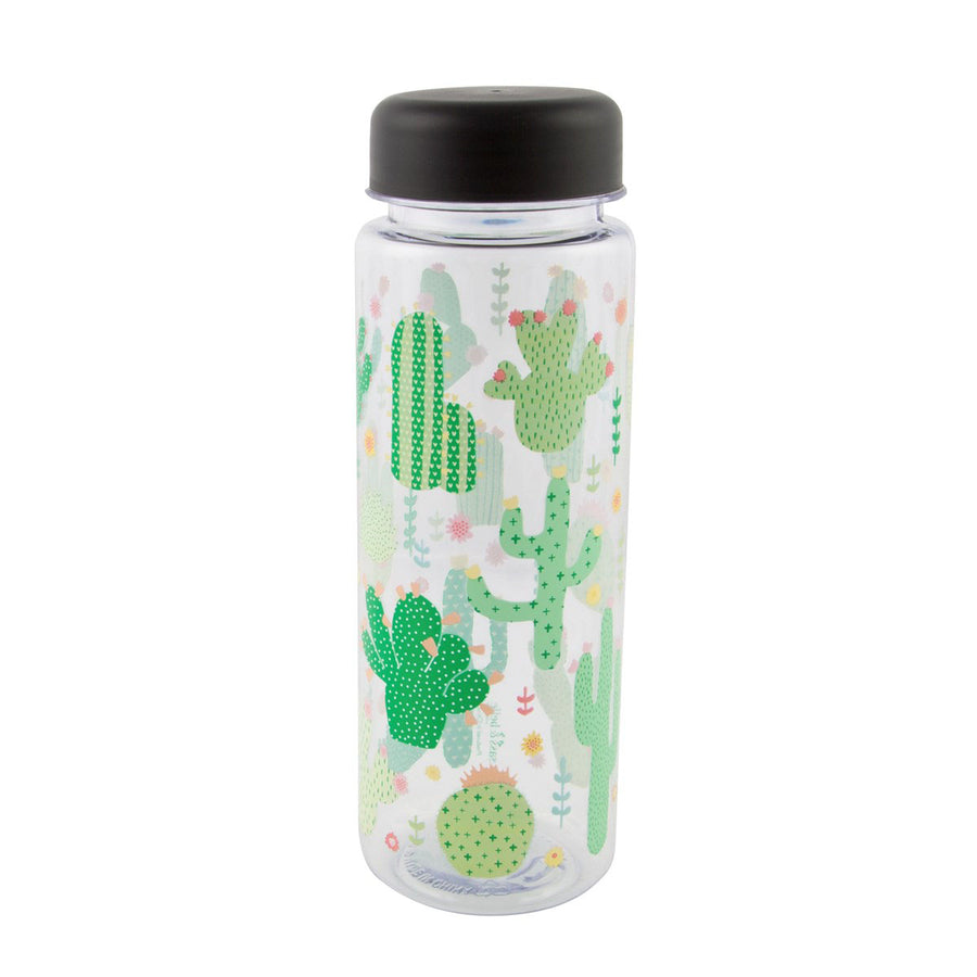 rjb-stone-colourful-cactus-clear-water-bottle- (1)