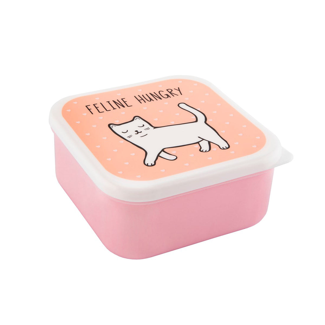 rjb-stone-cutie-cat-lunch-boxes- (10)