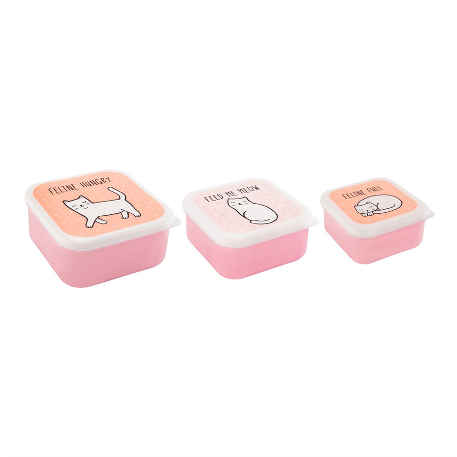 rjb-stone-cutie-cat-lunch-boxes- (1)