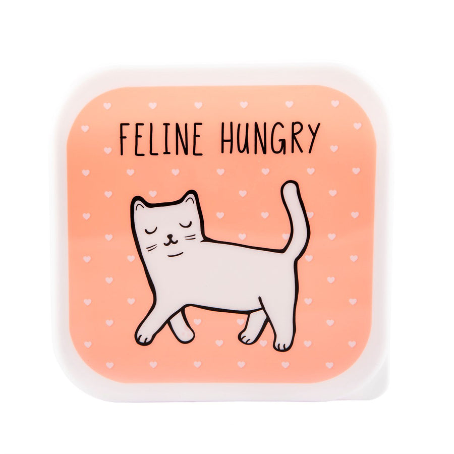 rjb-stone-cutie-cat-lunch-boxes- (7)