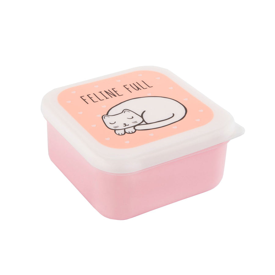 rjb-stone-cutie-cat-lunch-boxes- (8)