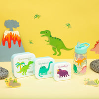 rjb-stone-drink-up-roarsome-dinosaurs-water-bottle- (3)