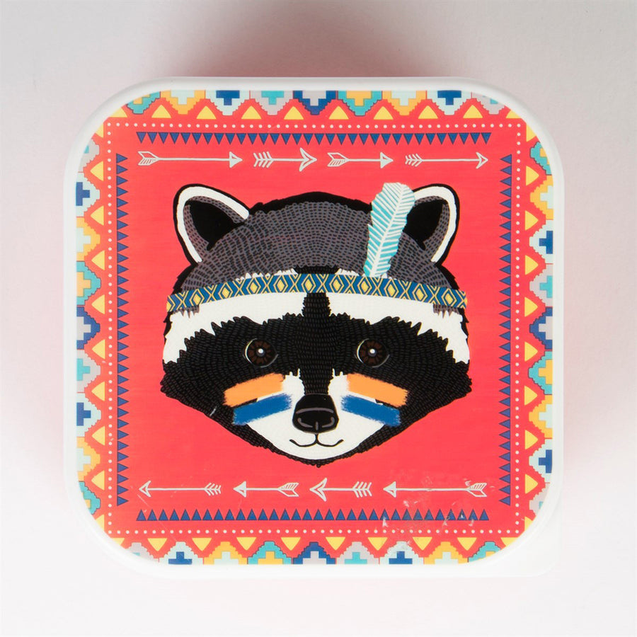 rjb-stone-raccoon-adventure-square-lunch-box- (4)