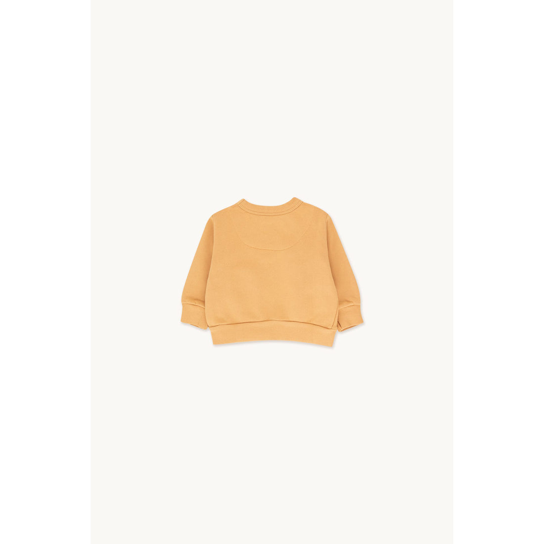 tinycottons-tangrine-baby-sweatshirt-alm-sr-tico-s23109jd9-almsr-6m