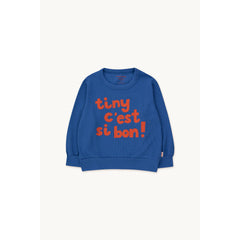 tinycottons-tiny-sweatshirt-usr-tico-w22108k89-um-4y- (1)