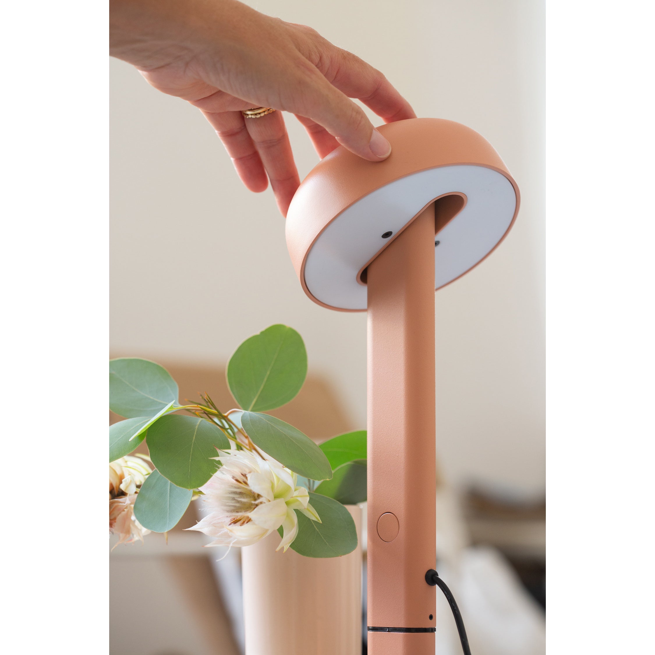 tiptoe-clamp-lamp-eucalyptus-grey-ttoe-tla035st1ez033- (16)