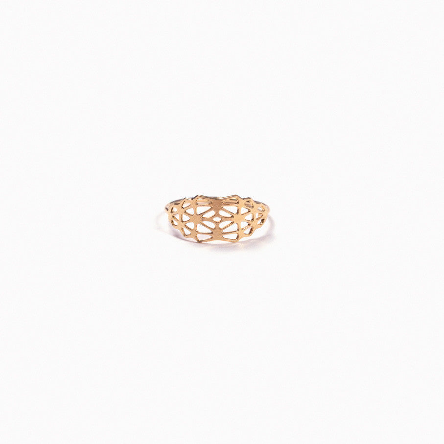 titlee-lorimer-2-ring-t1-01
