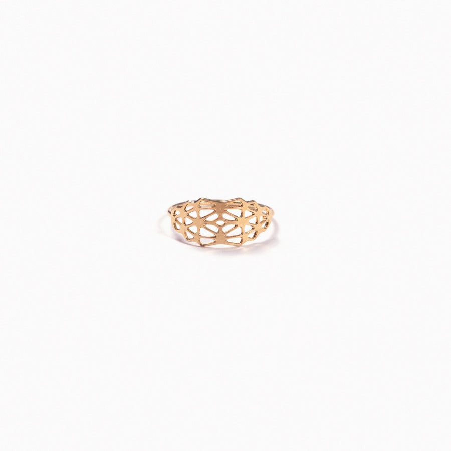 titlee-lorimer-2-ring-t1-01