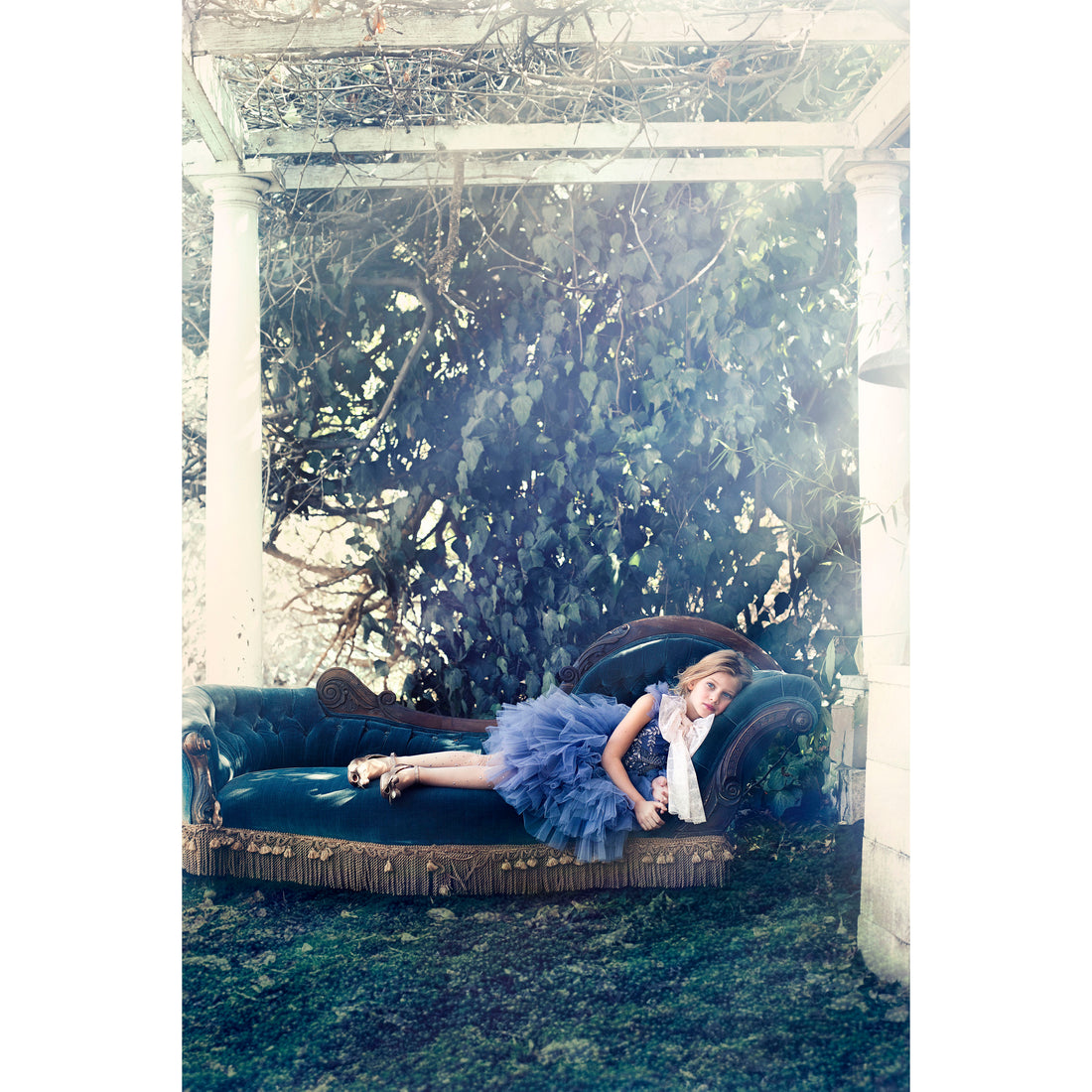 tutu-du-monde-dress-blue-bird-shadow- (5)