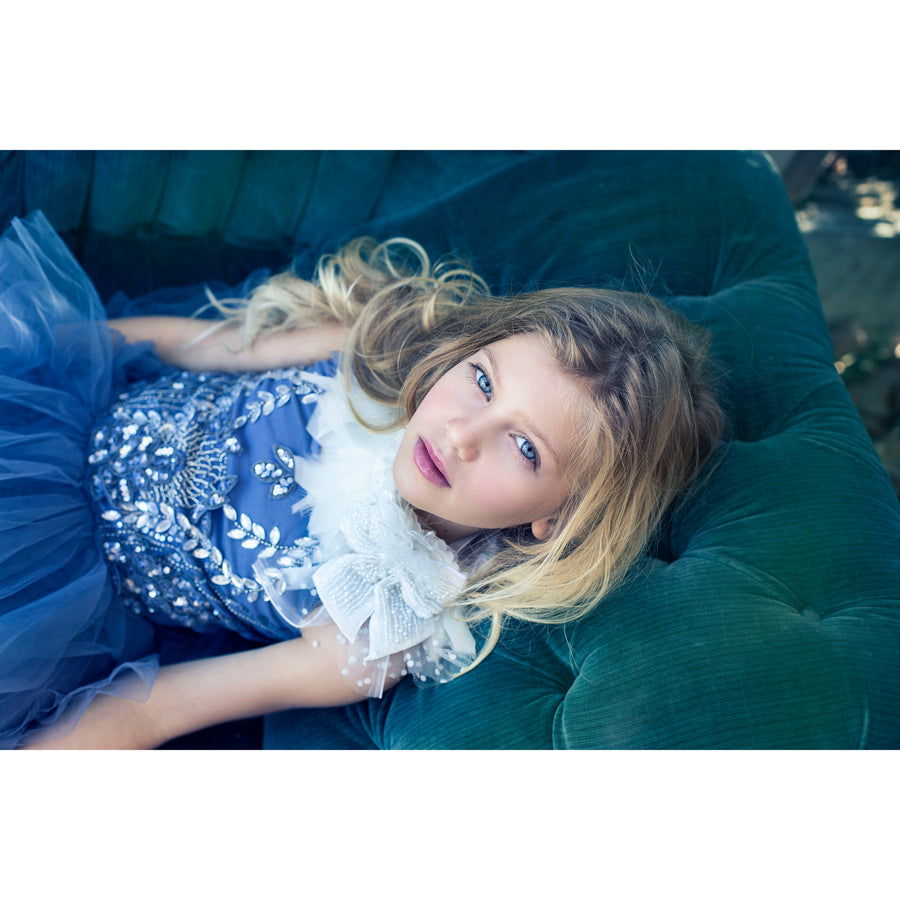 tutu-du-monde-dress-blue-bird-shadow- (2)