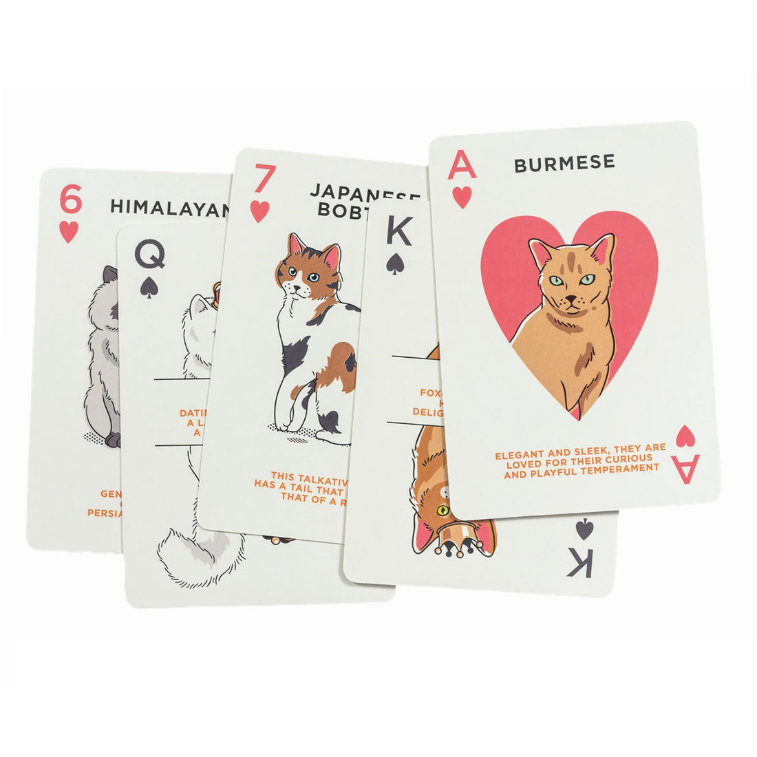 wild-&-wolf-cat-lover's-playing-cards- (3)