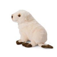 wwf-arctic-fur-seal-25cm-wwf-15188012- (2)