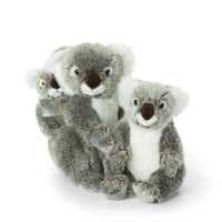wwf-plush-koala-mother-&-child- (1)