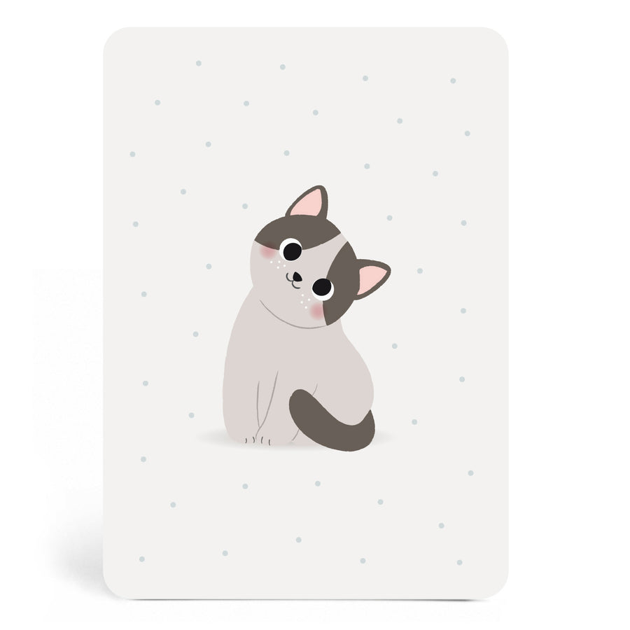 zu-boutique-card-cat- (1)